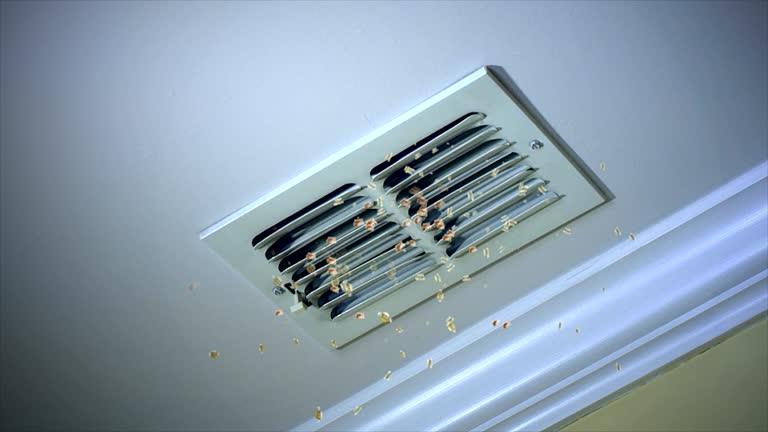 Best Air Duct Cleaning Near Me  in Kula, HI