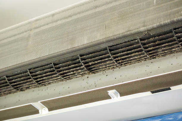  Kula, HI Airduct Cleaning Pros