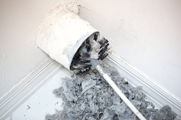 Best Professional Duct Cleaning Services  in Kula, HI